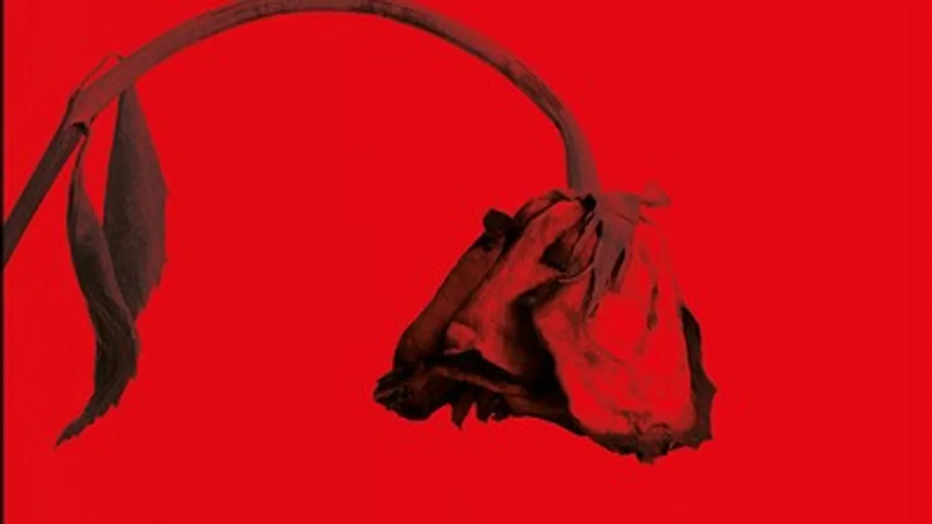 A baloldali pártok az egész világon visszaszorulóban vannak