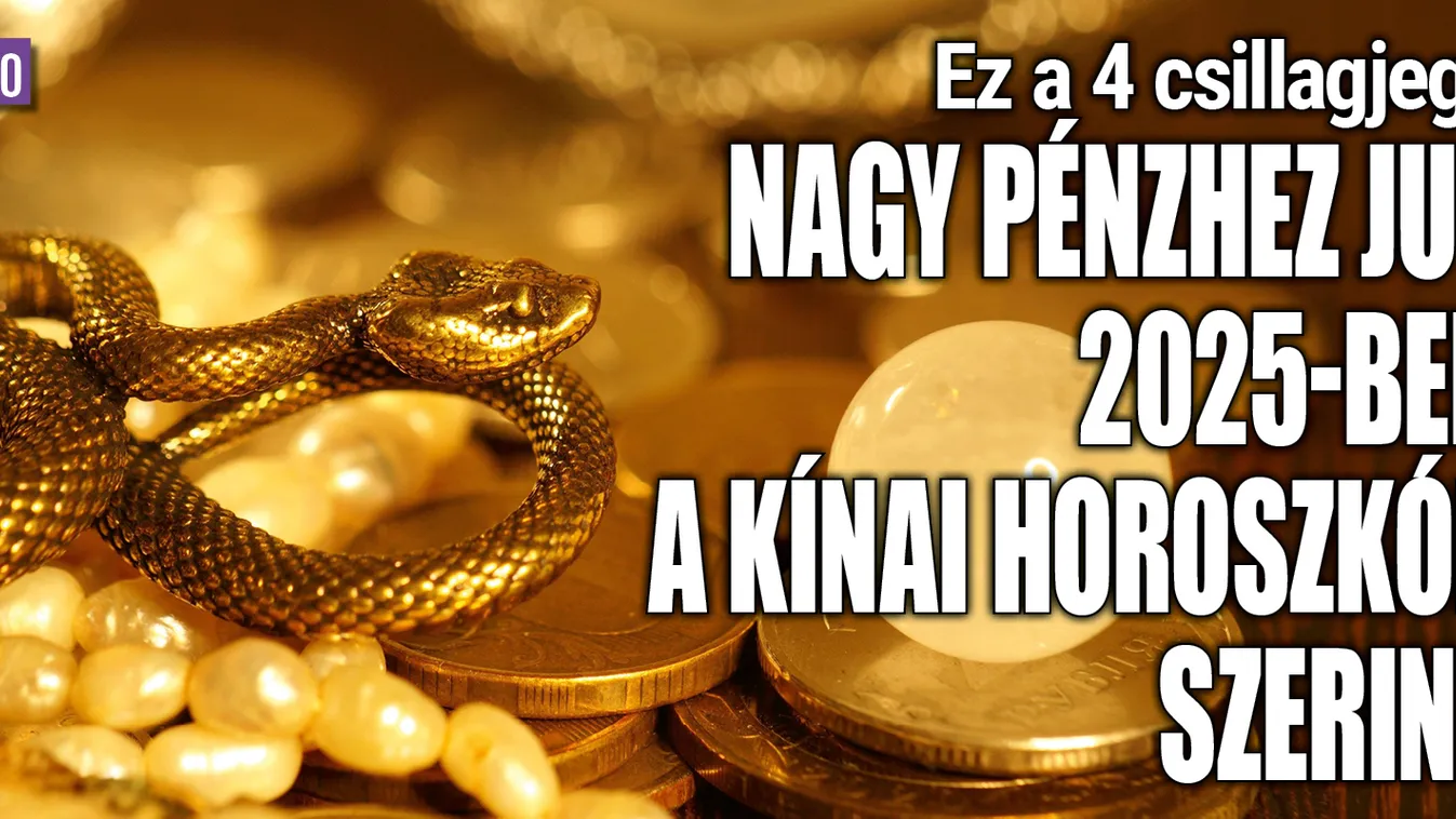 2025-ös kínai pénzhoroszkóp: ez a jegy örülhet