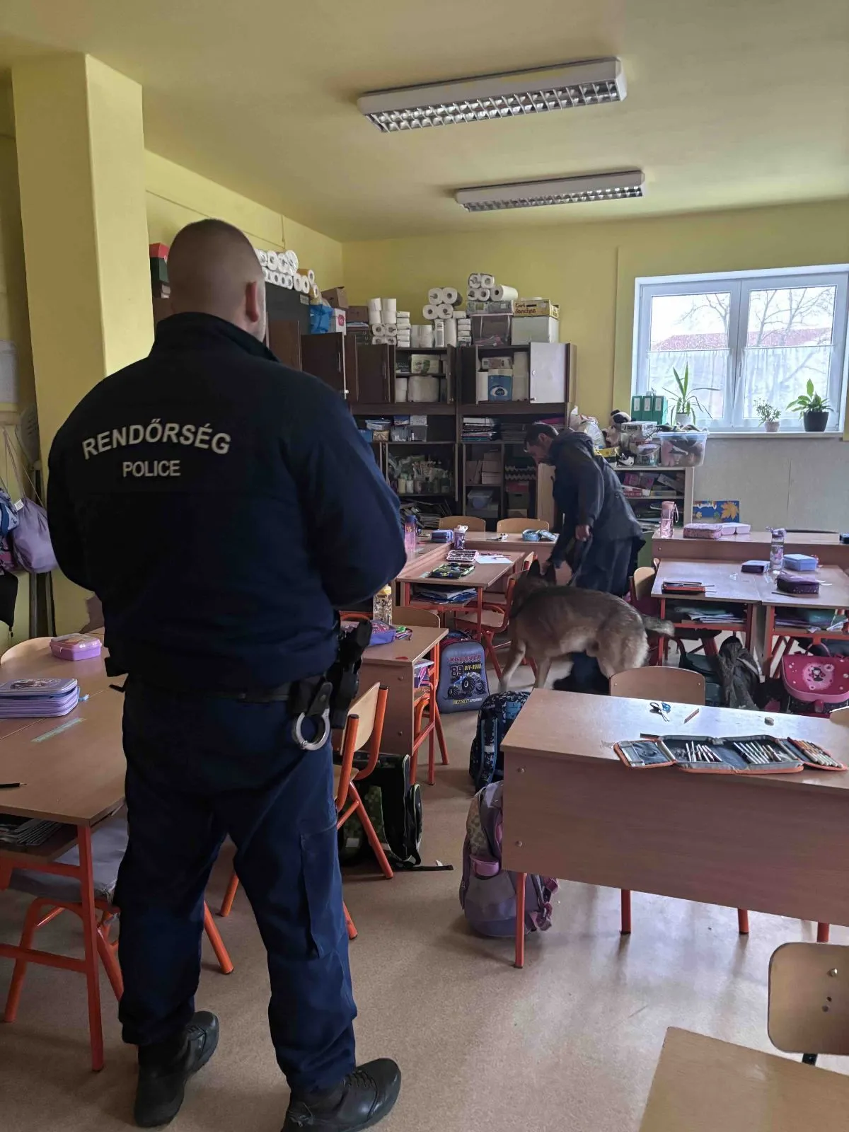 országos bombariadó, bombakereső kutya 