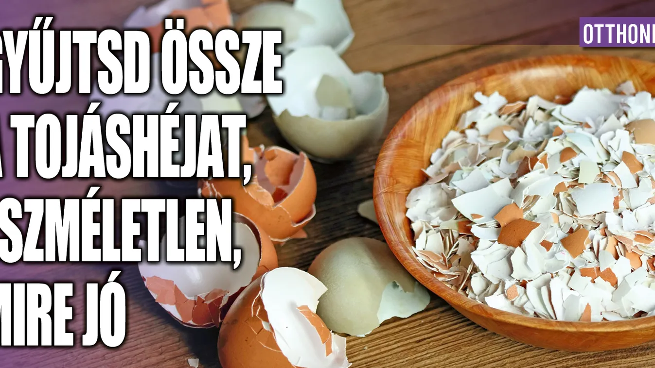 Tojáshéj felhasználás: tippek a kertbe