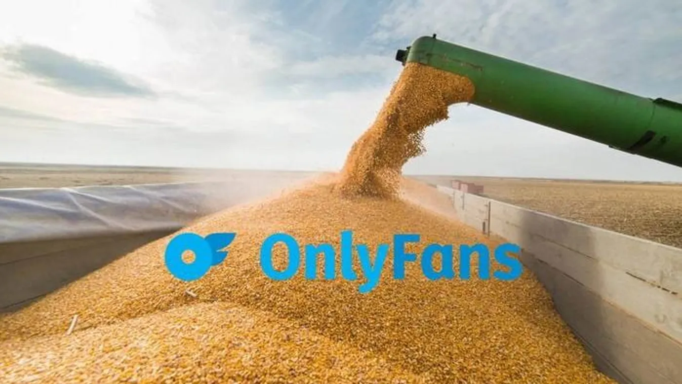 Az OnlyFans-t használta pénzmosásra egy ukrán oligarcha