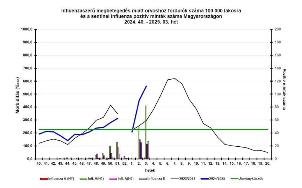 évtized influenzajárványa