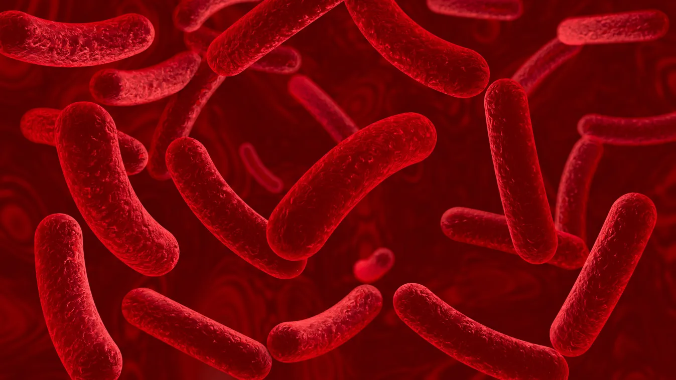 Kitört az Ebola-járvány, újabb áldozatot követelt a betegség