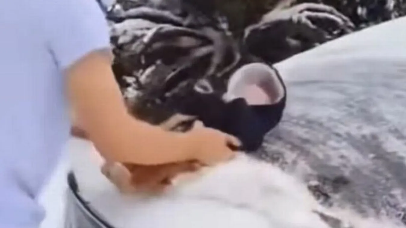 Döbbenet: csecsemőjét használva takarított havat egy apa