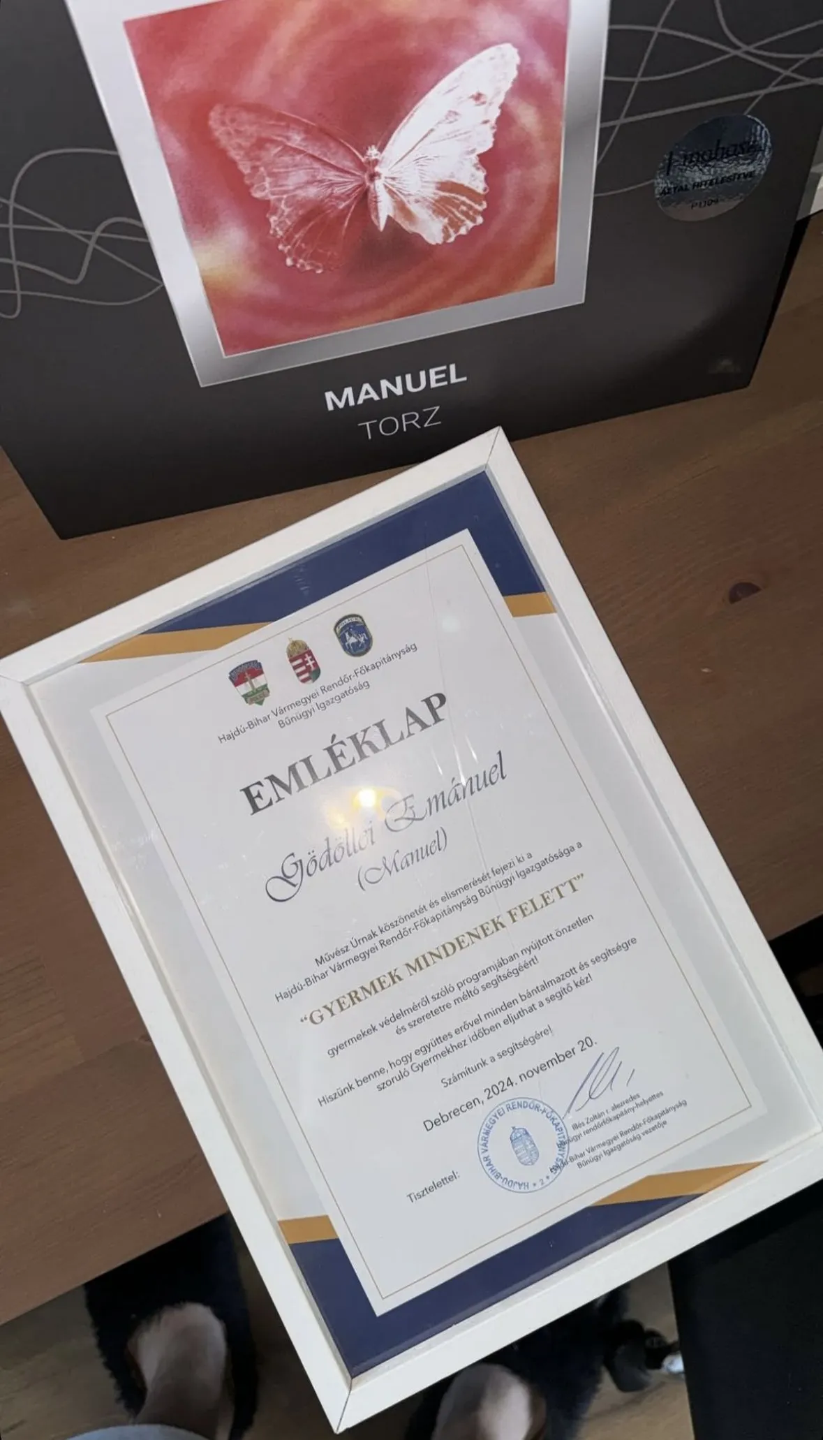 Manuel gyermekvédelem