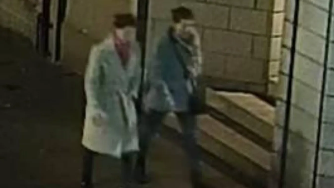 Félelmetes teóriák az eltűnt ikrekről