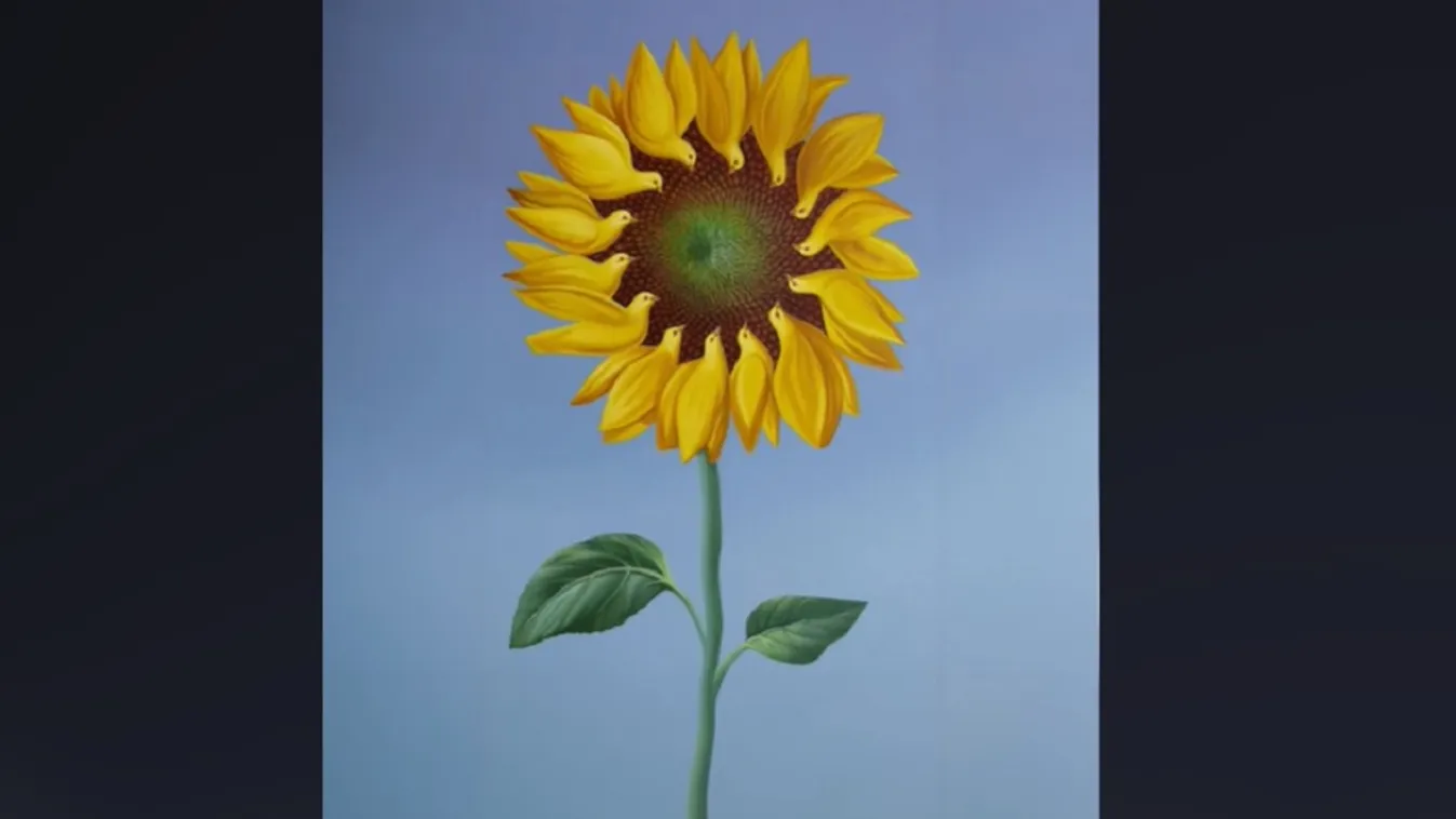 Mit látsz meg először a képen? Személyiségedről árulkodik!