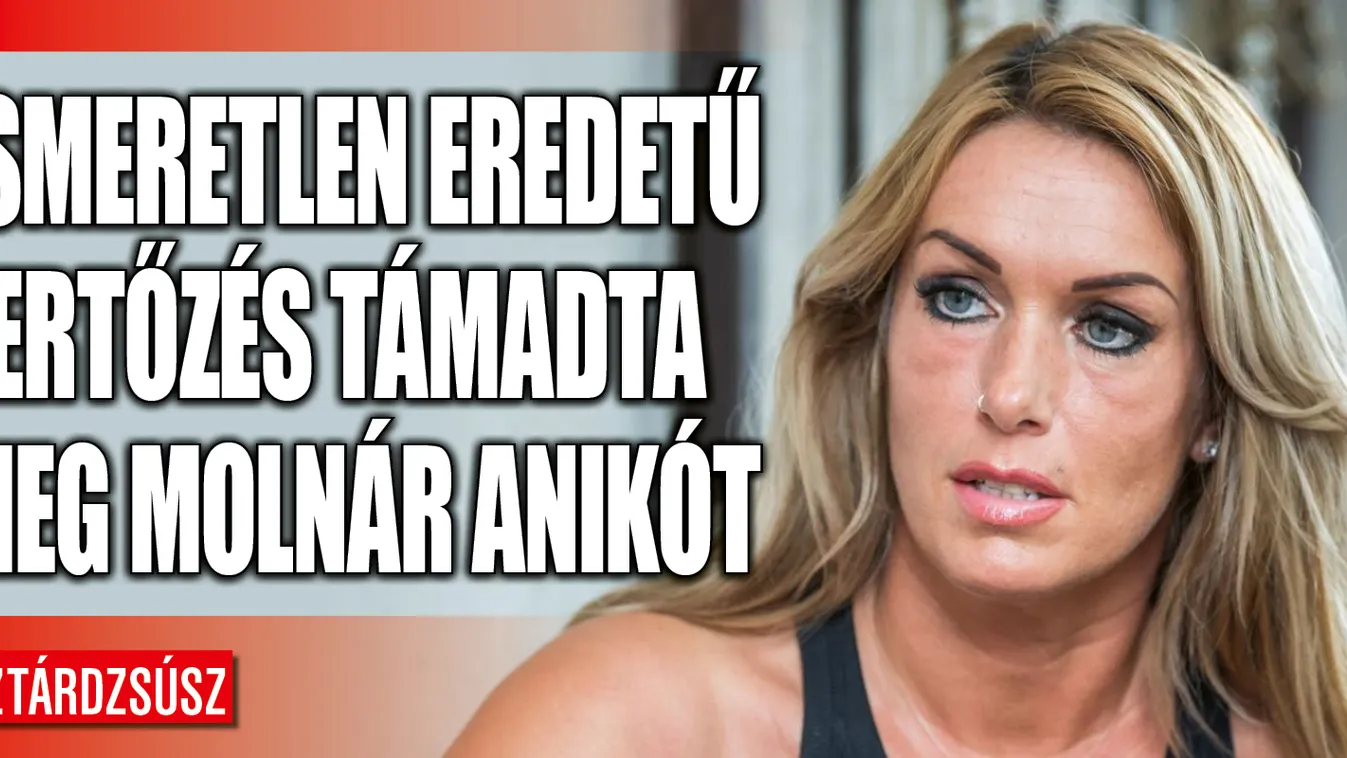 Molnár Anikó orvosi ellátásra szorult