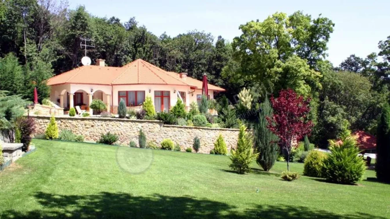 Egy 25 éves gyönyörűséget találtunk Leányfalun