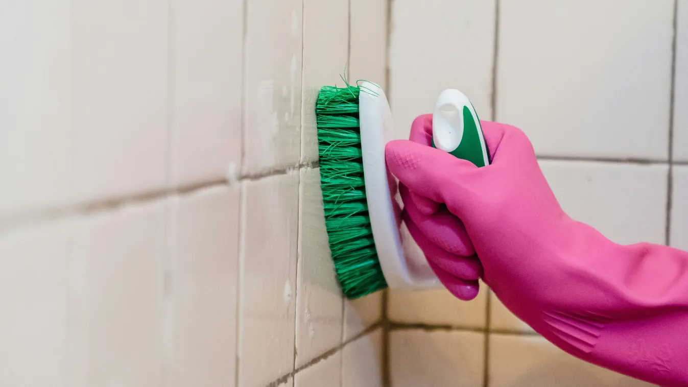 Újabb ember került életveszélyes állapotba a penészgombától