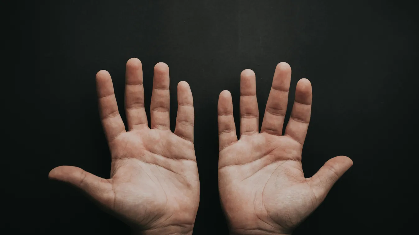A tenyeredből kiolvashatod, milyen a valódi személyiséged