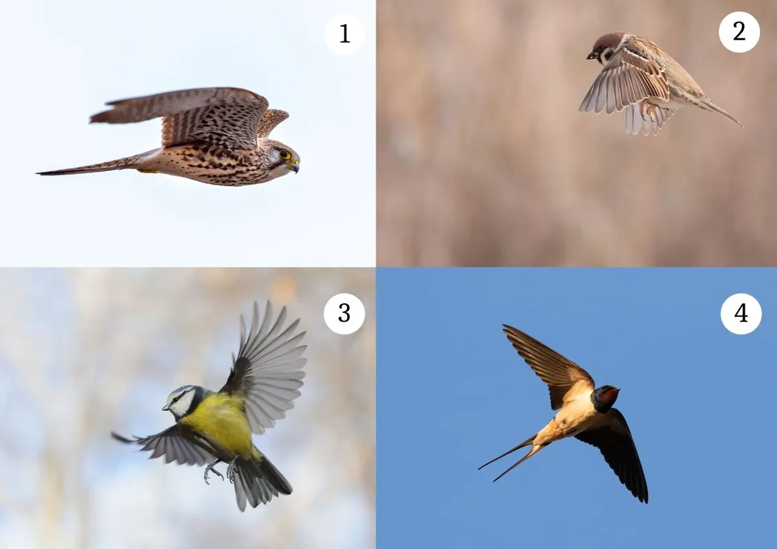 Segít ez a személyiségteszt, ha elbizonytalanodtál.