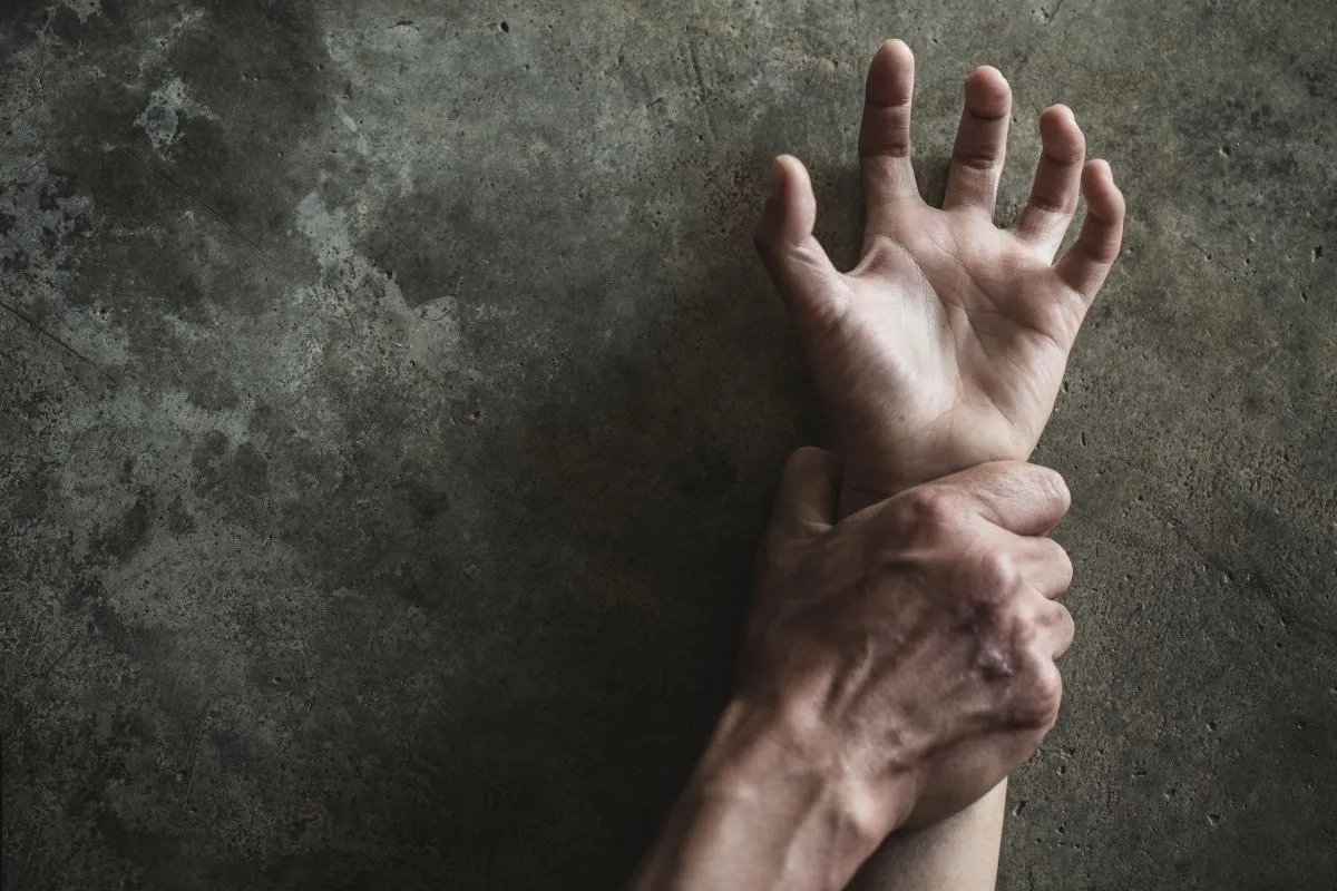 szexuális ragadozó