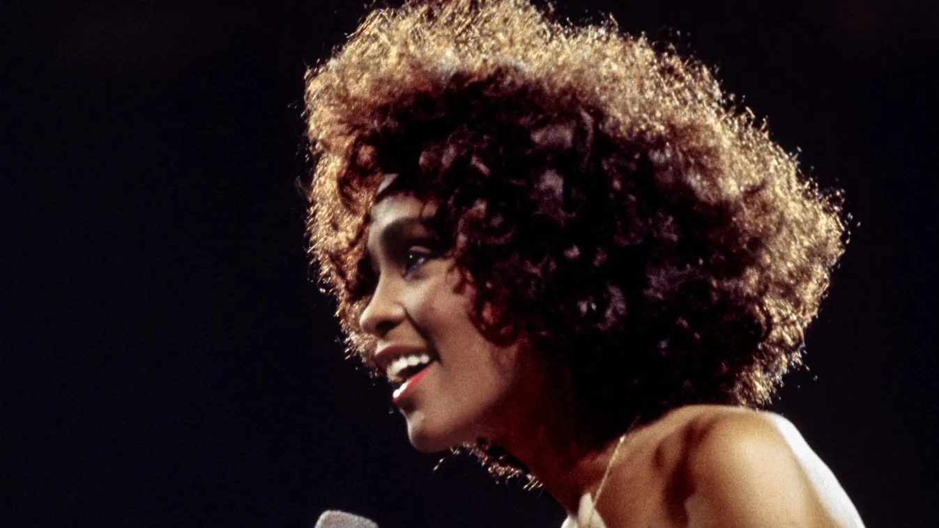 Kitálal Whitney Houston testőre