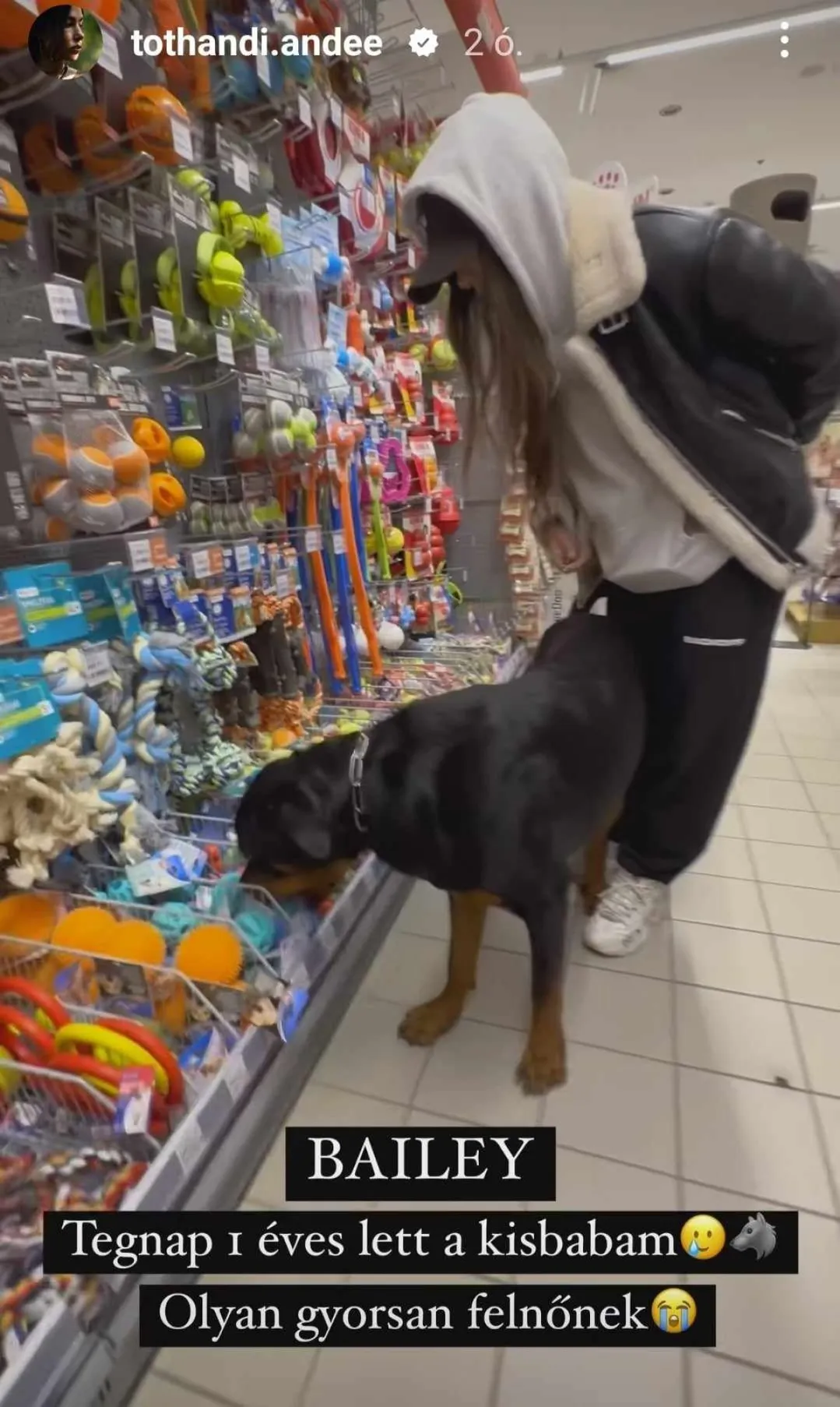 Tóth Andi kutyája