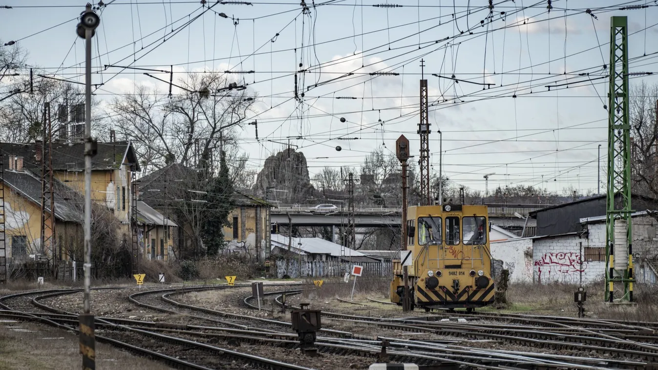 Rákosrendező: Hanyag kezelés miatt feljelentés a Főváros ellen