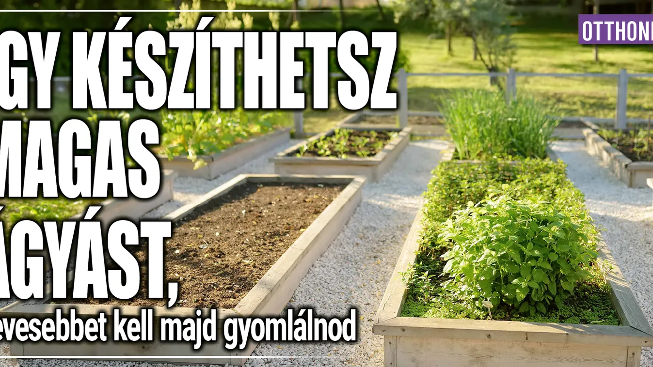 Így készíthetsz magas ágyást, kevesebbet kell majd gyomlálni