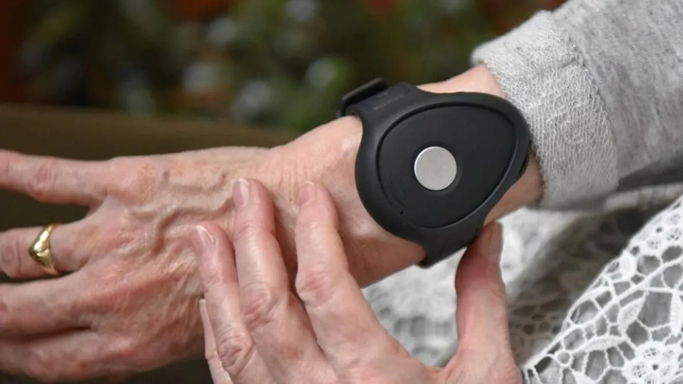 Gondosóra program: íme a legújabb számok