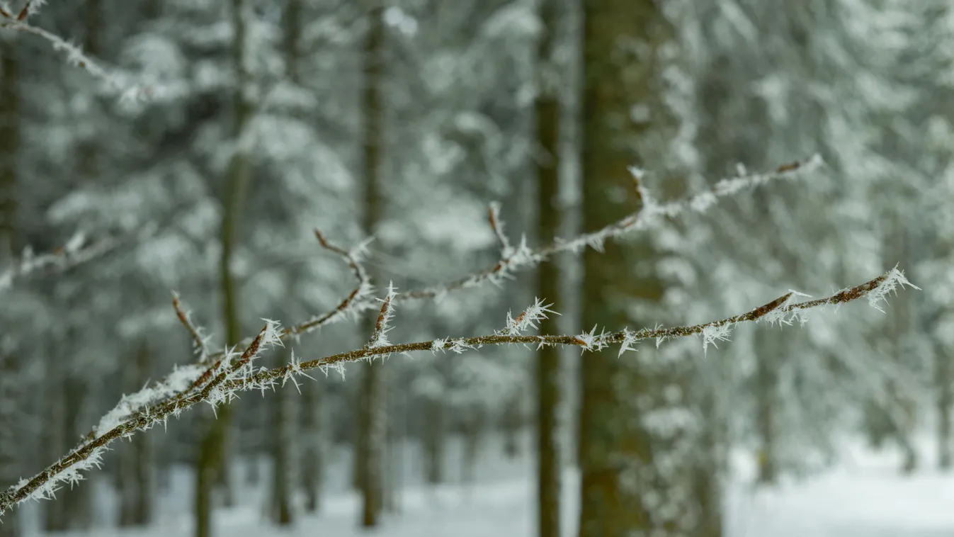 Hamarosan több mint 20 fokot is változhat a hőmérséklet