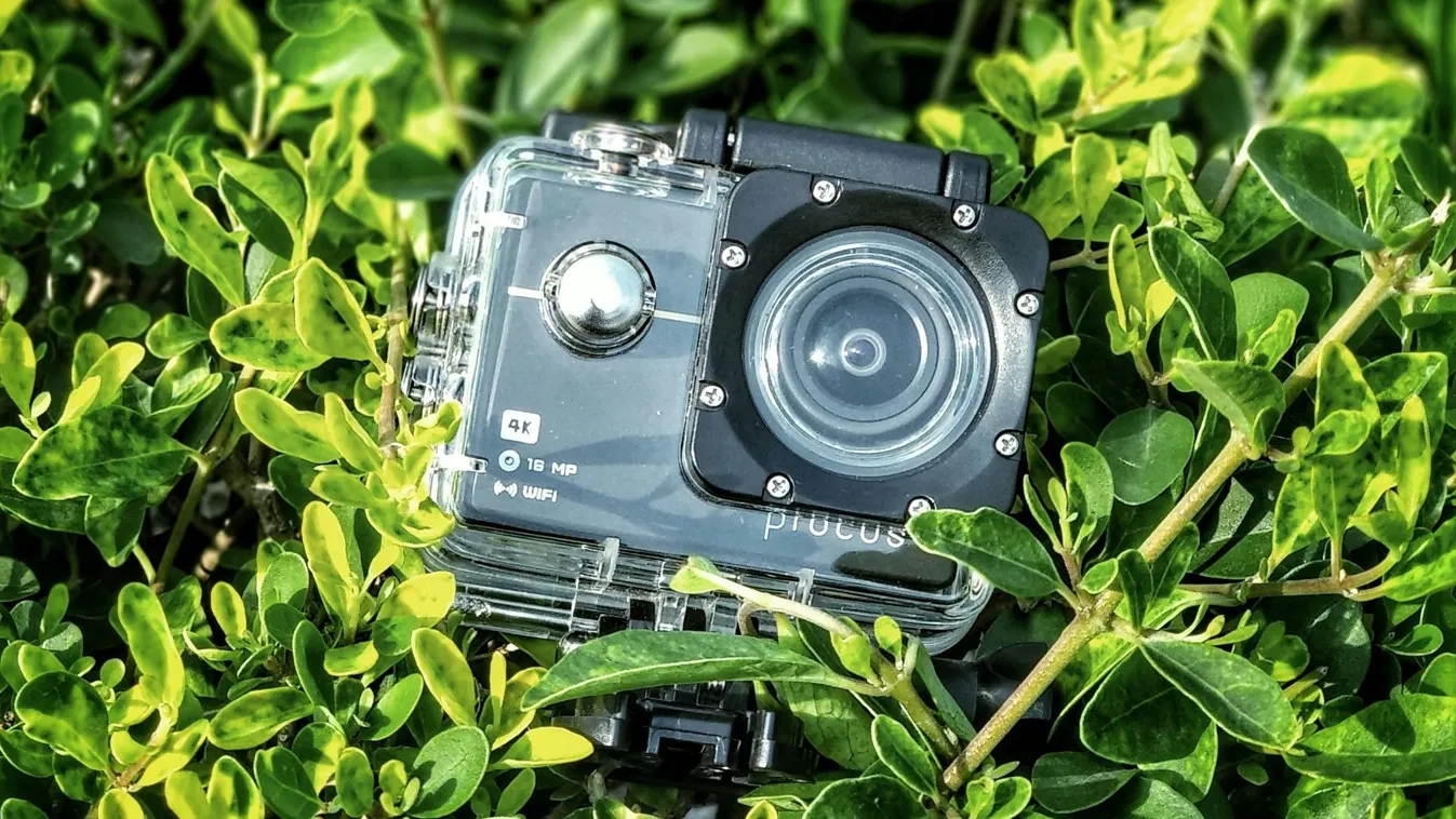 A kutatók szíve is összeszorult a vadkamerán látottaktól