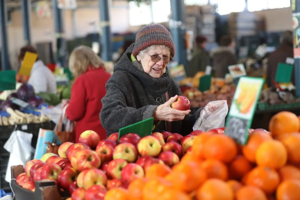 áfa-visszatérítés