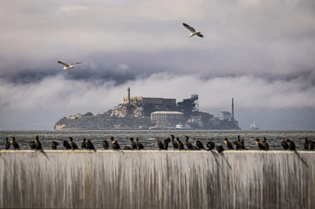Alcatraz