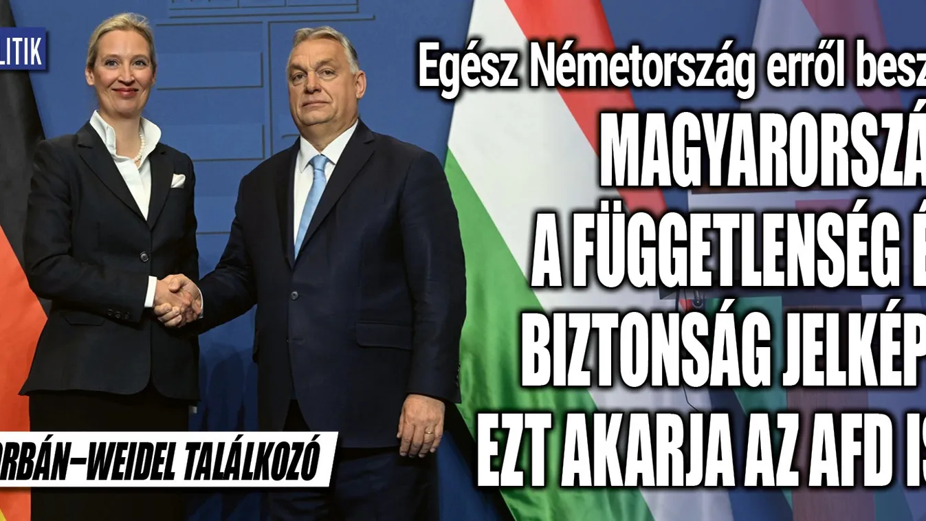 Orbán-Weidel találkozó