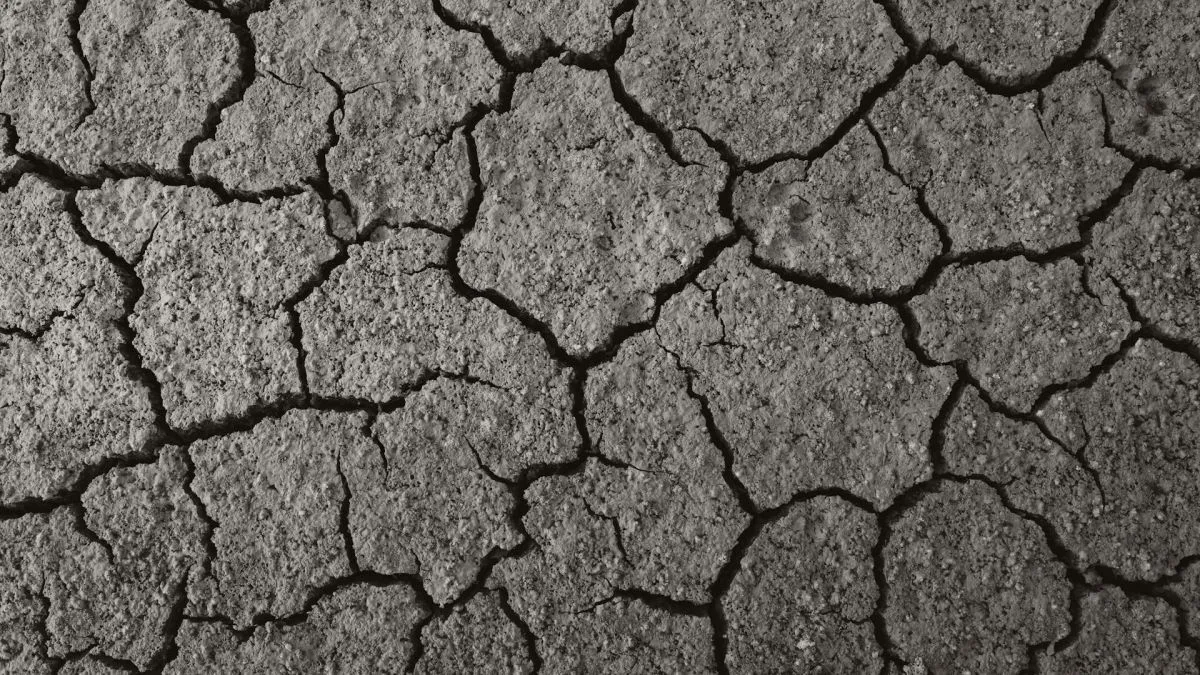 Földrengés földmozgás szeizmikus tevékenység earthquake