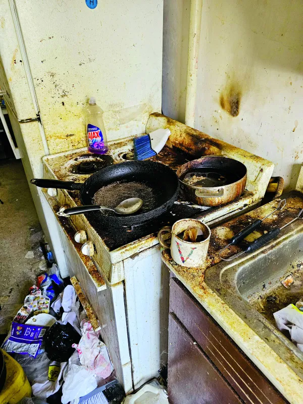 Valóság rovatban Fodor Barbara New York-i magyar extrém takarító, undorító dolgokat látott   RIPOST - Niki
