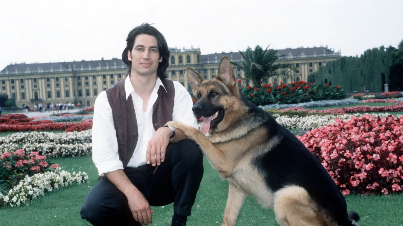 Rex felügyelő visszatér