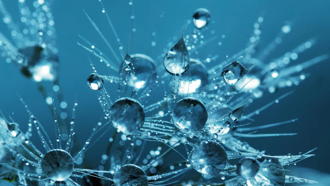 Második lett egy nívós versenyen a magyar diák