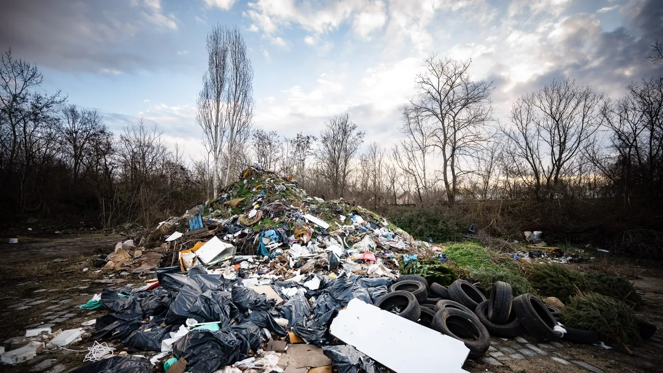 Rákosrendező sorsa megpecsételődött