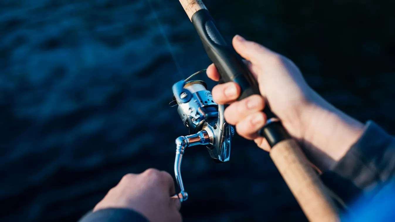 Idegen a mélyből: hátborzongató lényt fogott ki egy horgász