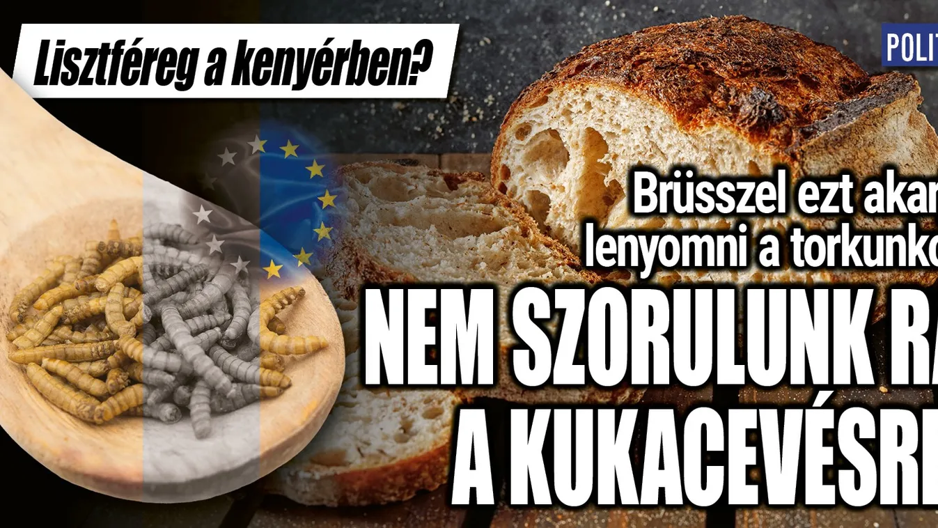 Lisztféregpor a kenyérben?