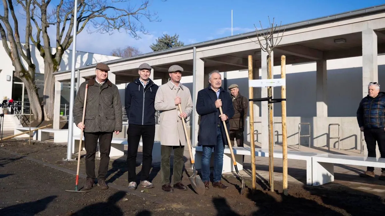 184 millió fát ültettek el Magyarországon az elmúlt években