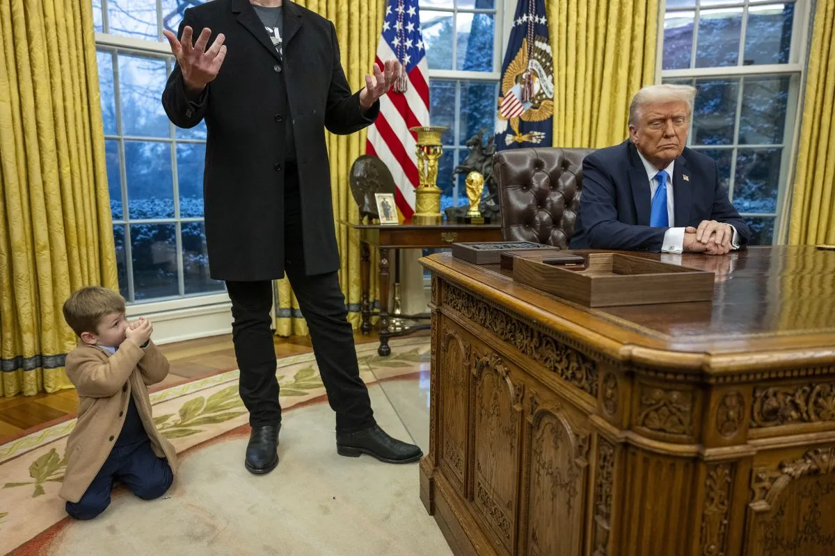 Donald Trump, musk, X