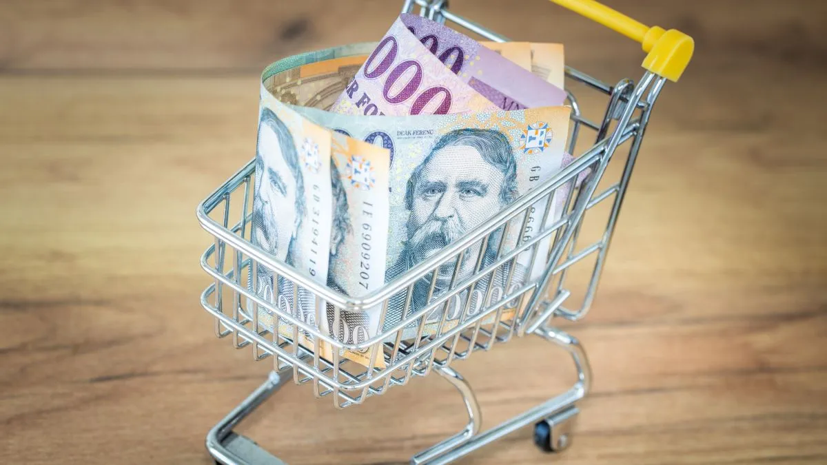 vissza nem térítendő támogatás, pénz, bevásárlás