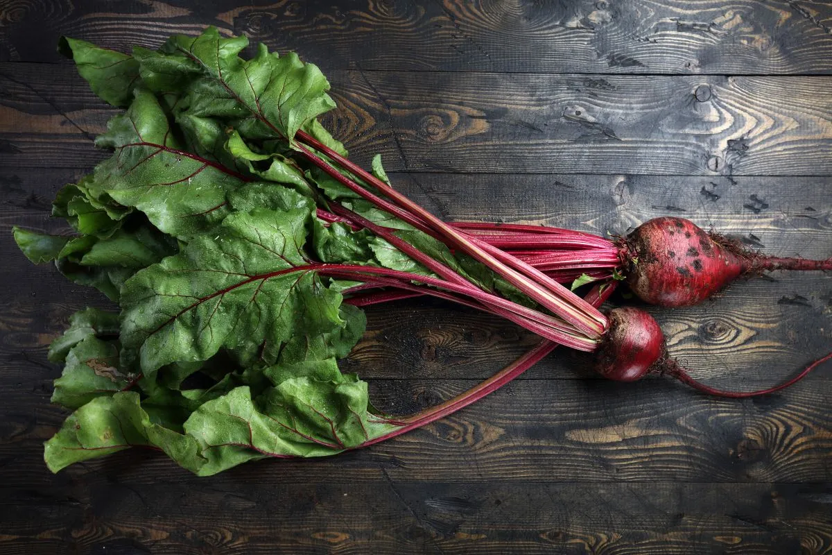 Cékla levele Home,Grown,Beetroot