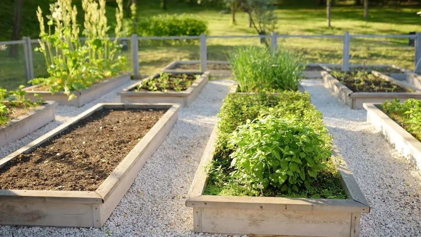 Így készíthetsz magas ágyást, kevesebbet kell majd gyomlálni