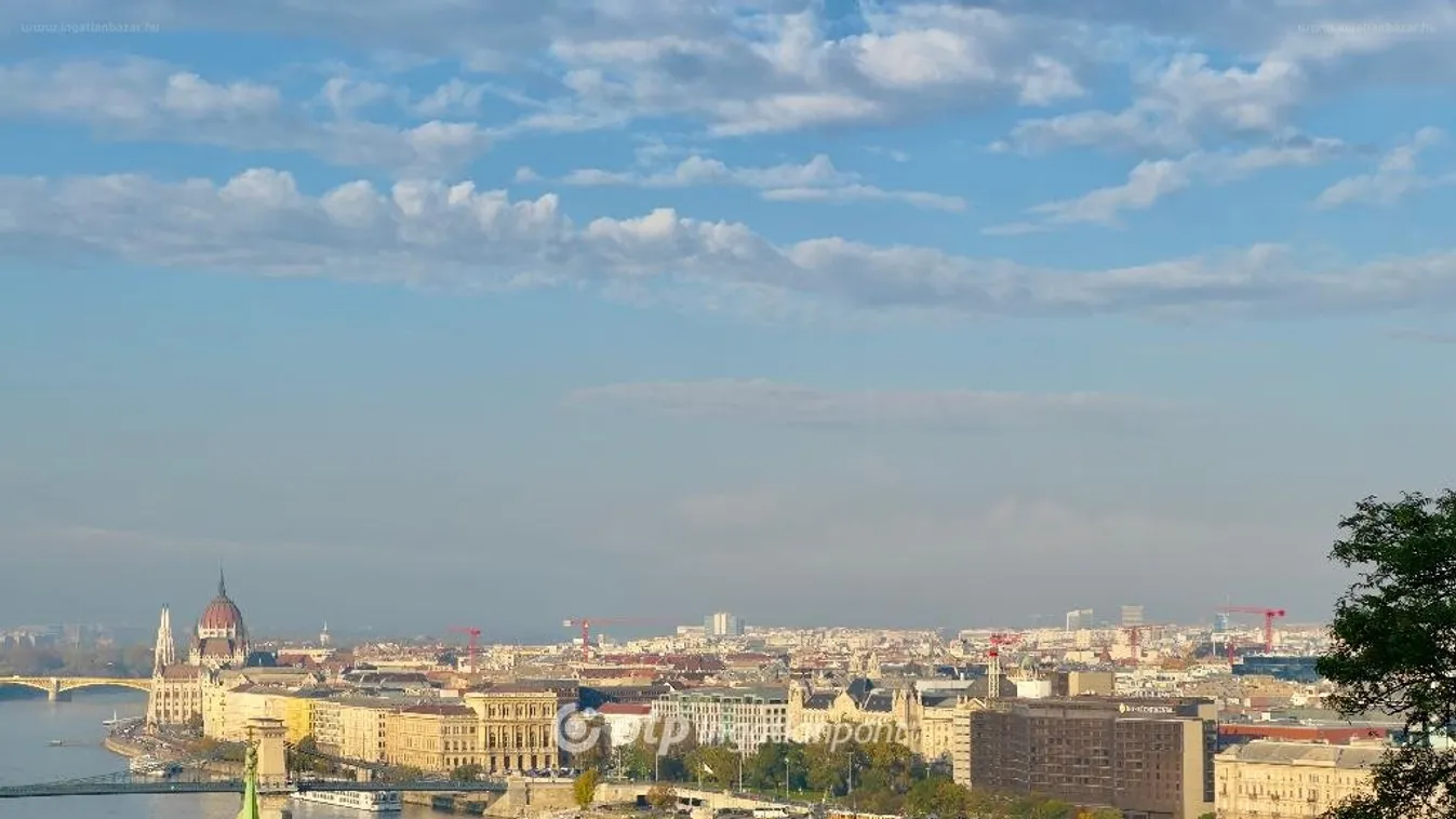 Fehér holló szállt le a Citadella árnyékában