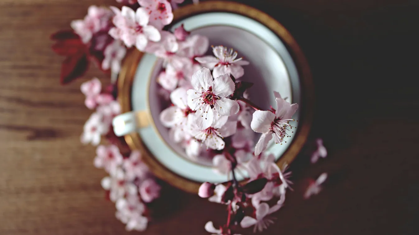 Vágott virág helyett virágdoboz - hogyan változnak a trendek