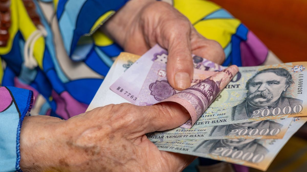 Áfa-visszatérítés: évi 120–180 ezer forint plusz pénzt jelenthet a nyugdíjasok számára ez a döntés