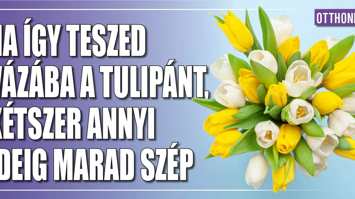 Ha így teszed vázába a tulipánt, hosszabb ideig virágzik