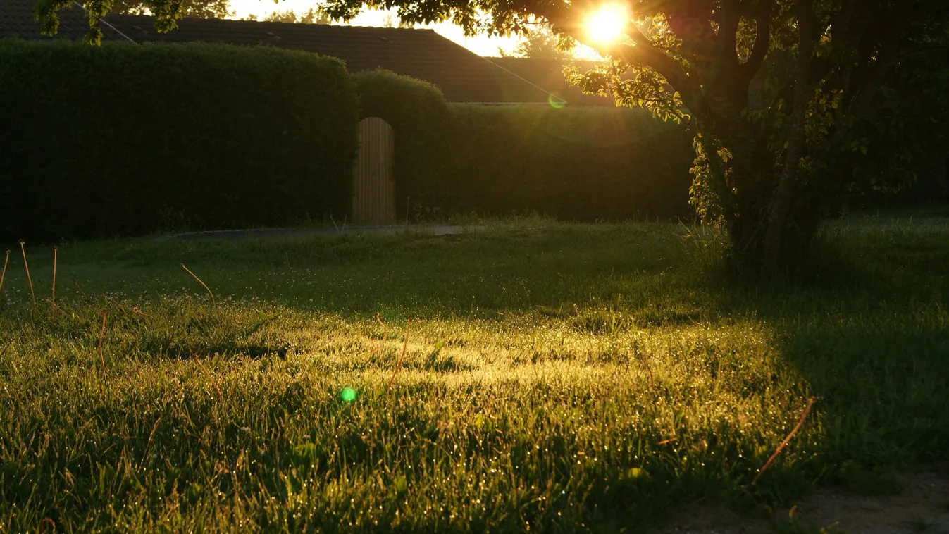 Horror Csömörön: holtan feküdt kertjében a szomszéd