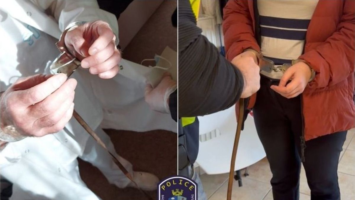 Kiskunhalasi illegális nemváltó műtétek: a Soros-hálózathoz vezetnek a szálak