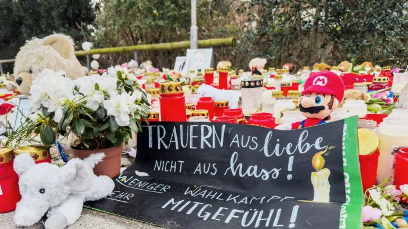 Szivárványszínű zebra az úton