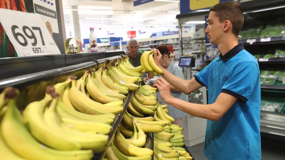 diák diákmunka nyárimunka Balaton, 