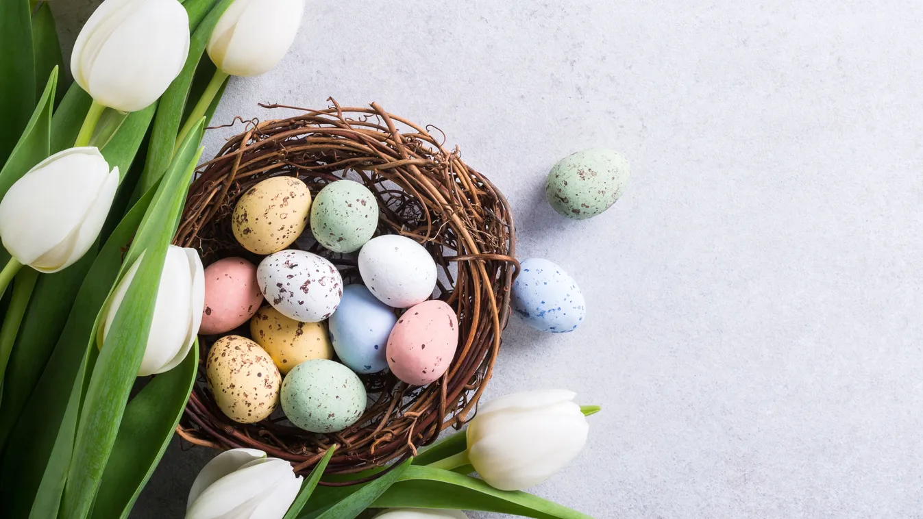 Az Élelmiszermentő Központ idén húsvétkor is segít!