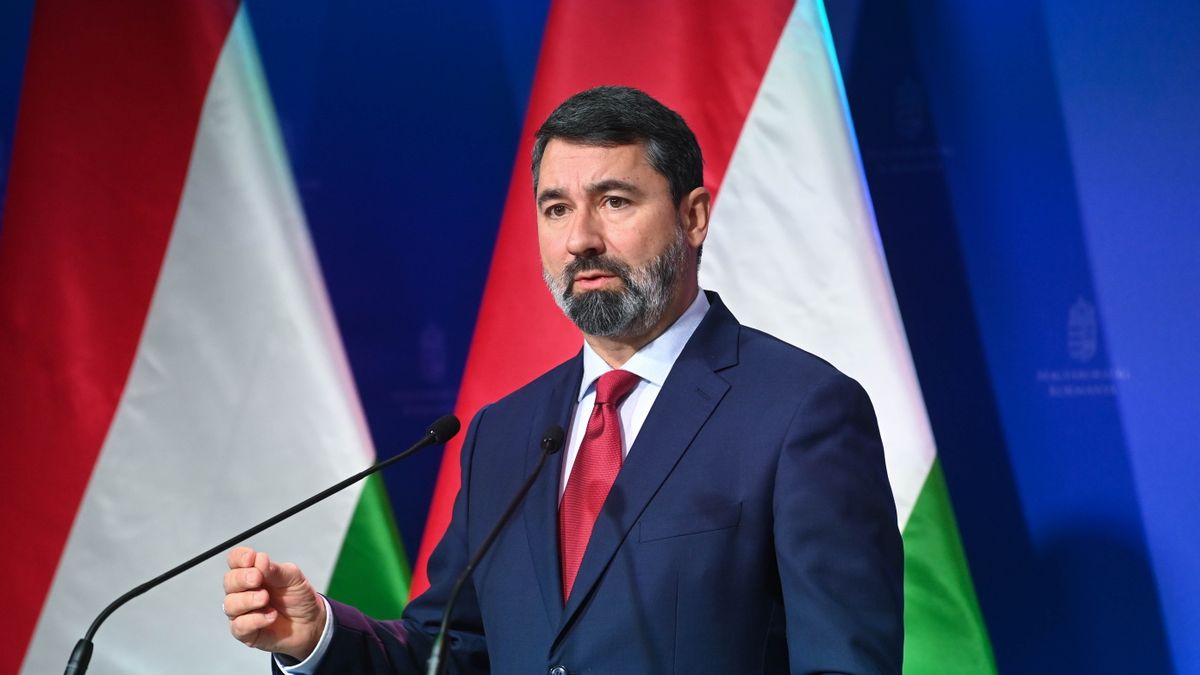 Hidvéghi Balázs: "Brüsszel Péter" is támadja, de a kormány meg fogja védeni a rezsicsökkentést