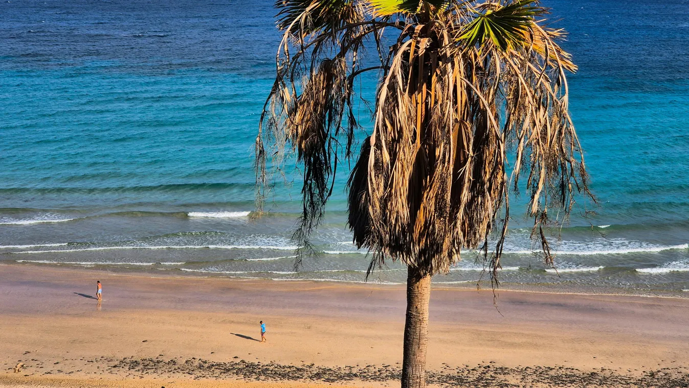 Top 5 növény, melyektől hosszabb ideig élhetsz